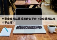 小型企业网站建设用什么平台（企业建网站哪个平台好）