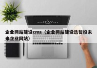 企业网站建设cms（企业网站建设选智投未来企业网站）