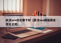 武汉seo优化哪个好（武汉seo网站排名优化公司）