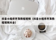 抖音小程序开发教程视频（抖音小程序开发教程视频大全）