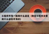 小程序开发一般用什么语言（微信小程序主要用什么语言开发的）