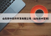 山东附中软件开发有限公司（山东附中官网）