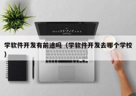 学软件开发有前途吗（学软件开发去哪个学校）