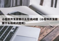 小程序开发需要什么后续问题（小程序开发需要什么后续问题呢）