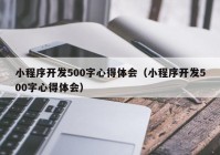 小程序开发500字心得体会（小程序开发500字心得体会）