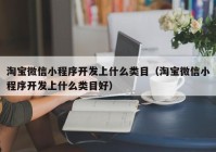 淘宝微信小程序开发上什么类目（淘宝微信小程序开发上什么类目好）