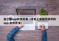 自己做app软件开发（手机上有制作软件的app,软件开发）