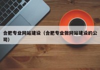 合肥专业网站建设（合肥专业做网站建设的公司）