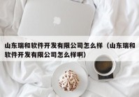 山东瑞和软件开发有限公司怎么样（山东瑞和软件开发有限公司怎么样啊）