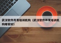 武汉软件开发培训机构（武汉软件开发培训机构哪家好）