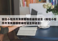 微信小程序开发需要哪些编程语言（微信小程序开发需要哪些编程语言和语言）