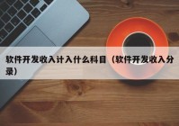 软件开发收入计入什么科目（软件开发收入分录）