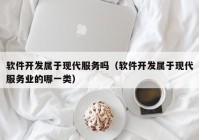 软件开发属于现代服务吗（软件开发属于现代服务业的哪一类）