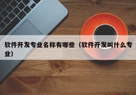 软件开发专业名称有哪些（软件开发叫什么专业）