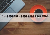 什么小程序开发（小程序是用什么软件开发的）