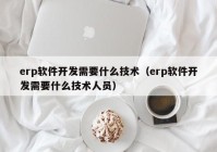 erp软件开发需要什么技术（erp软件开发需要什么技术人员）