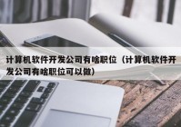 计算机软件开发公司有啥职位（计算机软件开发公司有啥职位可以做）