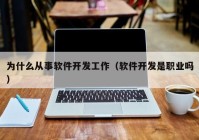 为什么从事软件开发工作（软件开发是职业吗）